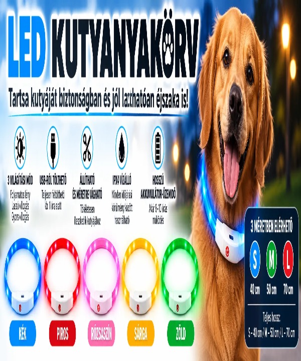 KrizsoPET