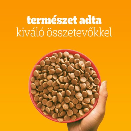 Pedigree 12kg Mini Adult Marhával Zöldséggel