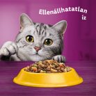 Whiskas 14kg Csirkével száraztáp felnőtt macskák számára