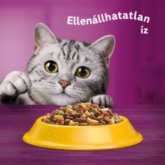   Whiskas 14kg Csirkével száraztáp felnőtt macskák számára