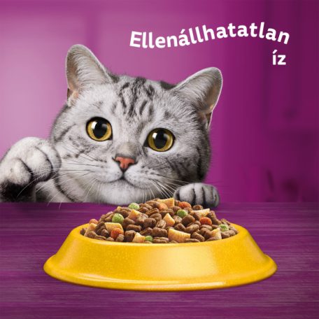 Whiskas 14kg Csirkével száraztáp felnőtt macskák számára