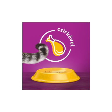 Whiskas 14kg Csirkével száraztáp felnőtt macskák számára