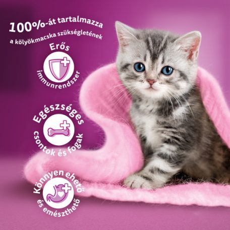 Whiskas 14kg Junior száraztáp kölyökcicák számára csirkével