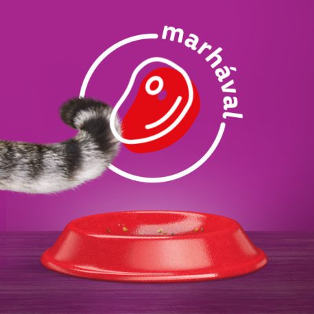 Whiskas 14kg Marhás száraztáp felnőtt macskák számára