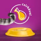 Whiskas 14kg Sterile száraztáp csirkehússal ivartalanított felnőtt macskák számára