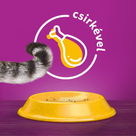 Whiskas 14kg Sterile száraztáp csirkehússal ivartalanított felnőtt macskák számára