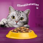 Whiskas 14kg Sterile száraztáp csirkehússal ivartalanított felnőtt macskák számára