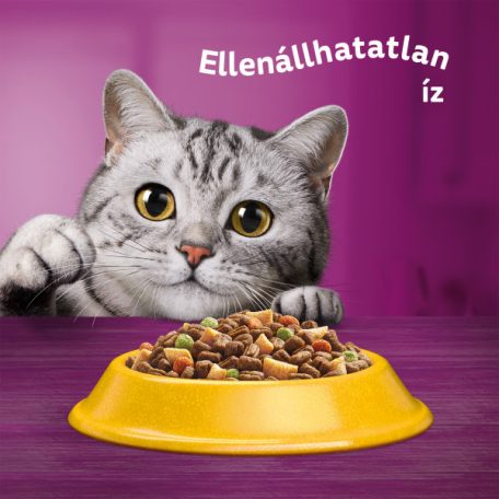 Whiskas 14kg Sterile száraztáp csirkehússal ivartalanított felnőtt macskák számára