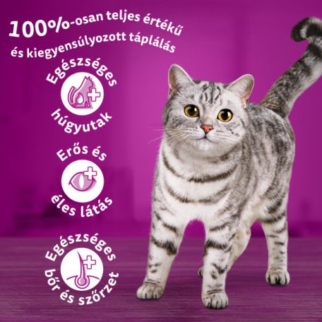 Whiskas 14kg Tonhalas száraztáp felnőtt macskák számára