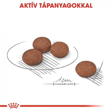 Royal Canin CCN Mini Digestive Care 8kg