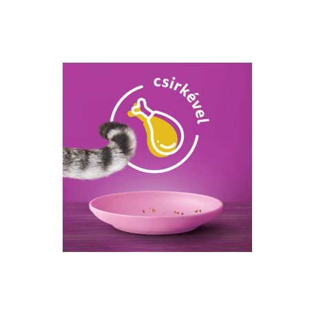 Whiskas száraz 1,4kg Junior Csirke