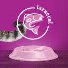 Whiskas száraz 1,4kg Steril Lazac
