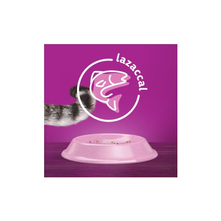 Whiskas száraz 1,4kg Lazac
