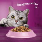 Whiskas száraz 1,4kg Lazac