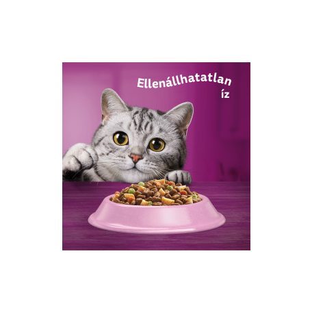 Whiskas száraz 1,4kg Lazac