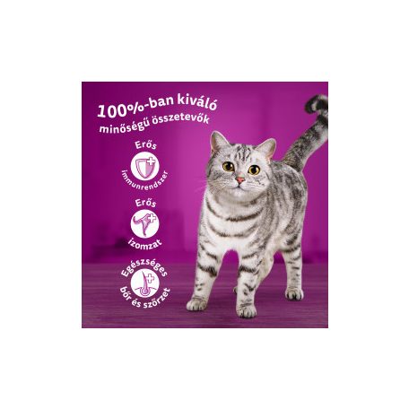 Whiskas Baromfi válogatás Mártásban Alutasakos macskaeledel 12x85g
