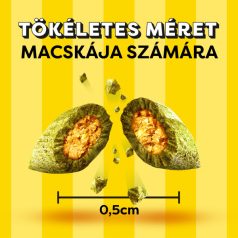Dreamies jutalomfalat macskák számára 60g Macskamentával