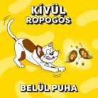 Dreamies jutalomfalat macskák számára 60g Macskamentával