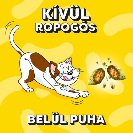 Dreamies jutalomfalat macskák számára 60g Macskamentával