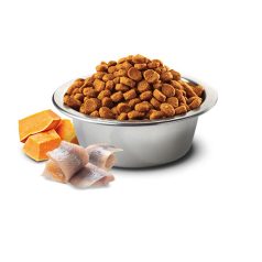   N&D Ocean Dog tőkehal, sütőtök és narancs adult mini 7kg