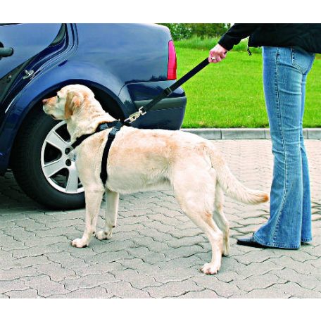 Trixie biztonsági öv kutyák részére - L - (70-90cm/25mm)
